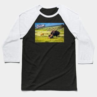 Bison at Yellowstone Baseball T-Shirt